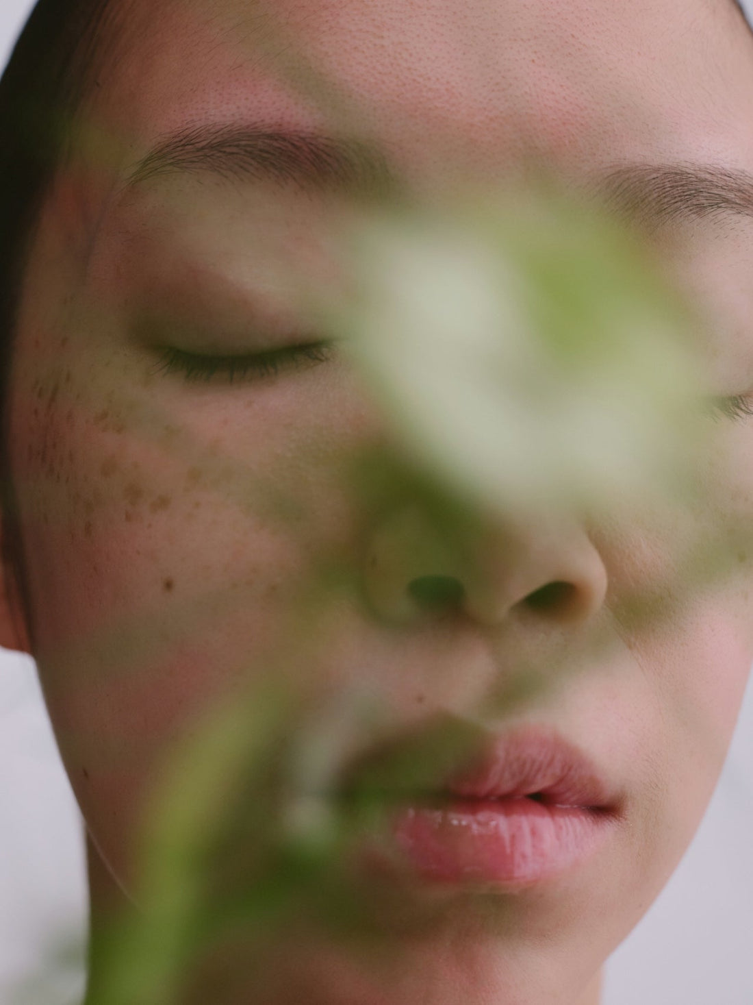 A woman's face behind a plant