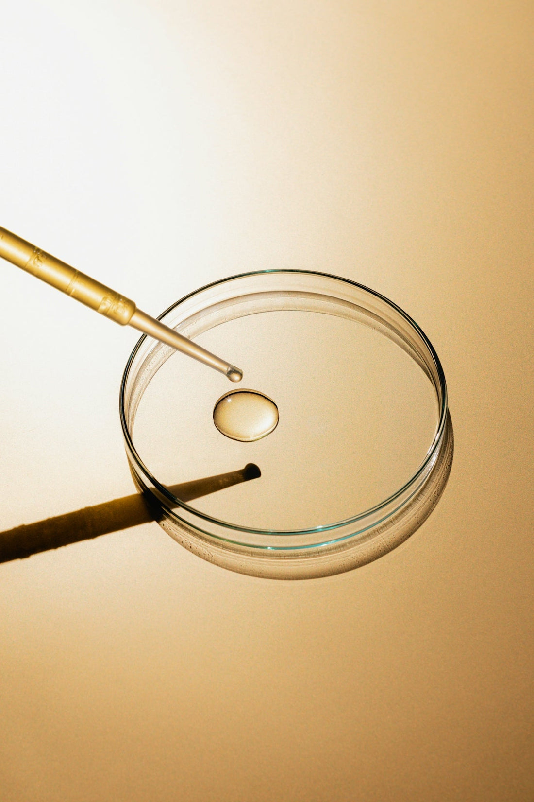 Petri dish with a dropper of liquid