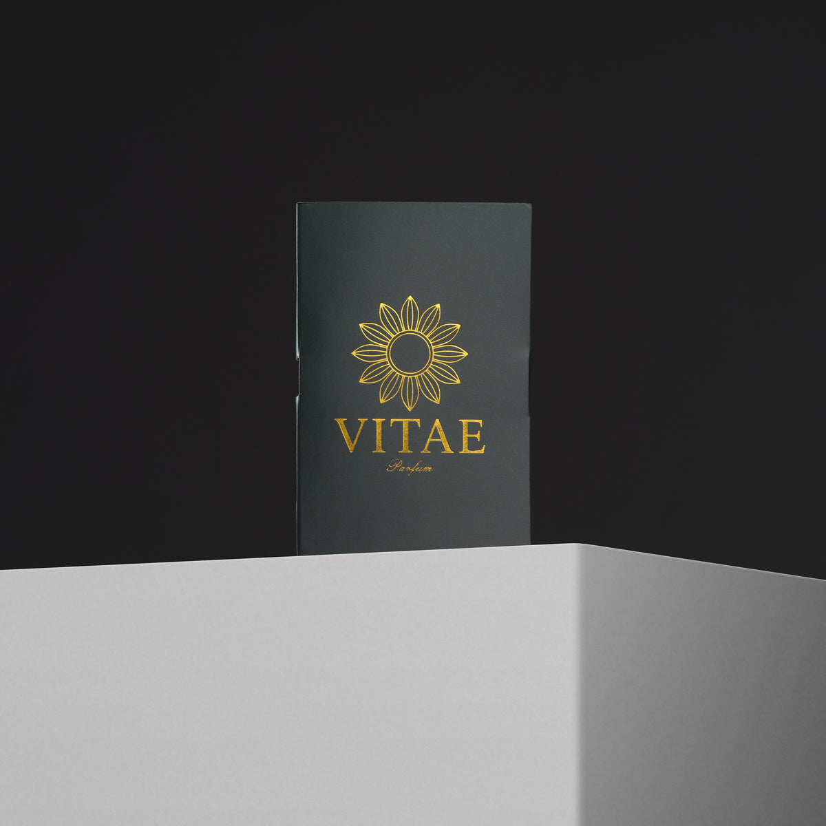 Vitae Discovery Experience
